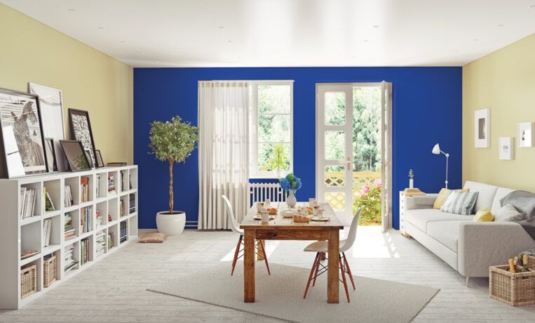hall colour combination