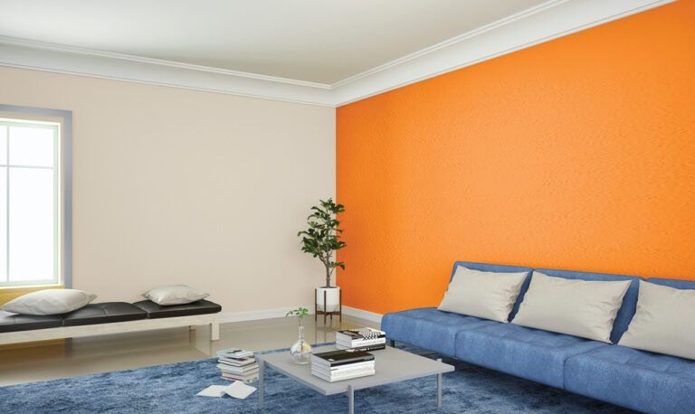 hall colour combination images