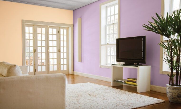 living hall colour combination
